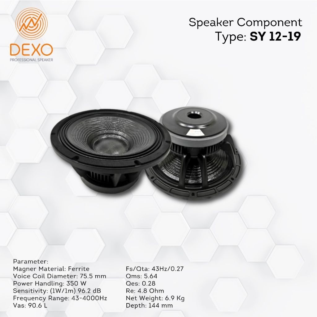 Speaker SY 12 19 / Speaker 12in / Speaker Dexo original