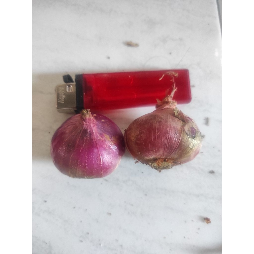 

Bawang Merah Kualitas Super 1kg Kering Pedas