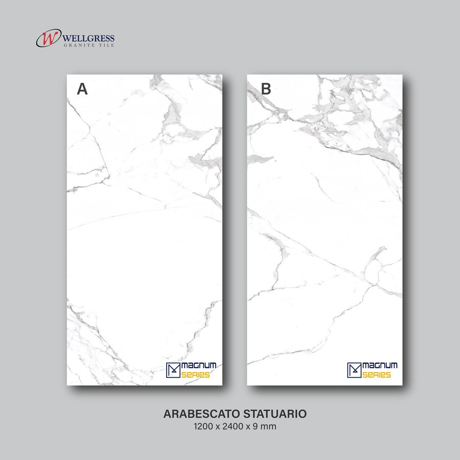 GRANIT ARABESCATO STATUARIO 120X240 - WELLGRESS