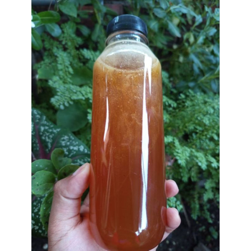 

Madu Hutan Berkualitas