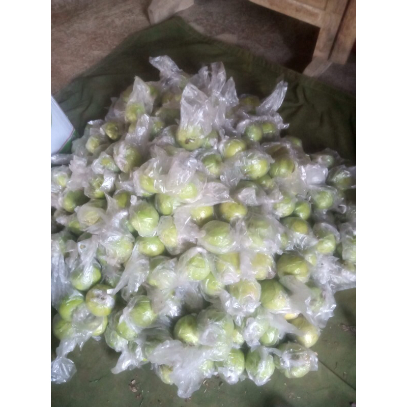 

Jambu Kristal 1 kg isi 7