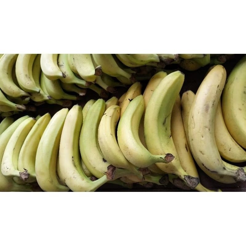 

Pisang Cavendish Fb1 500gram