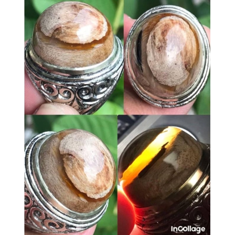 FOSIL GALIH KELOR PUSER KRISTAL ANTIK