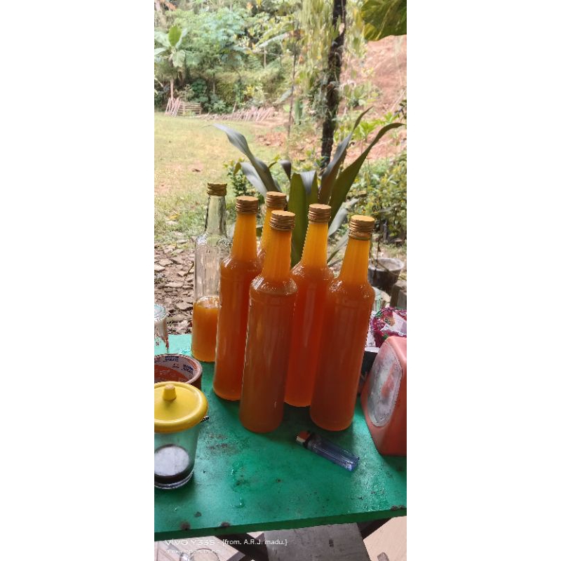 

MADU HUTAN ASLI.100% MADU LEBAH DORSATA GONG DAN CERANA