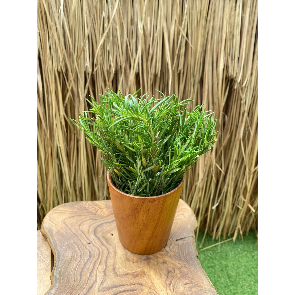

Fresh Rosemary 50gr
