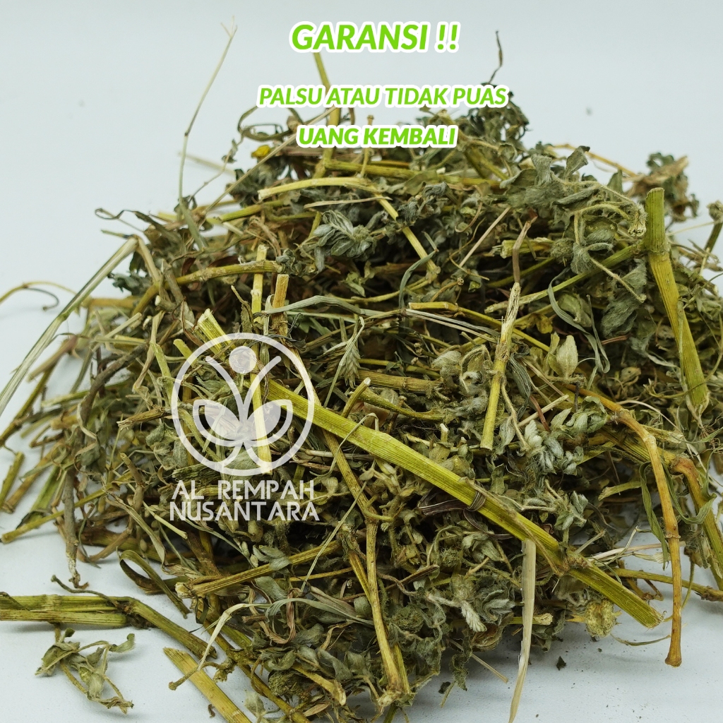 

Tribulus 250gr Kering Cacah Asli dan Organik