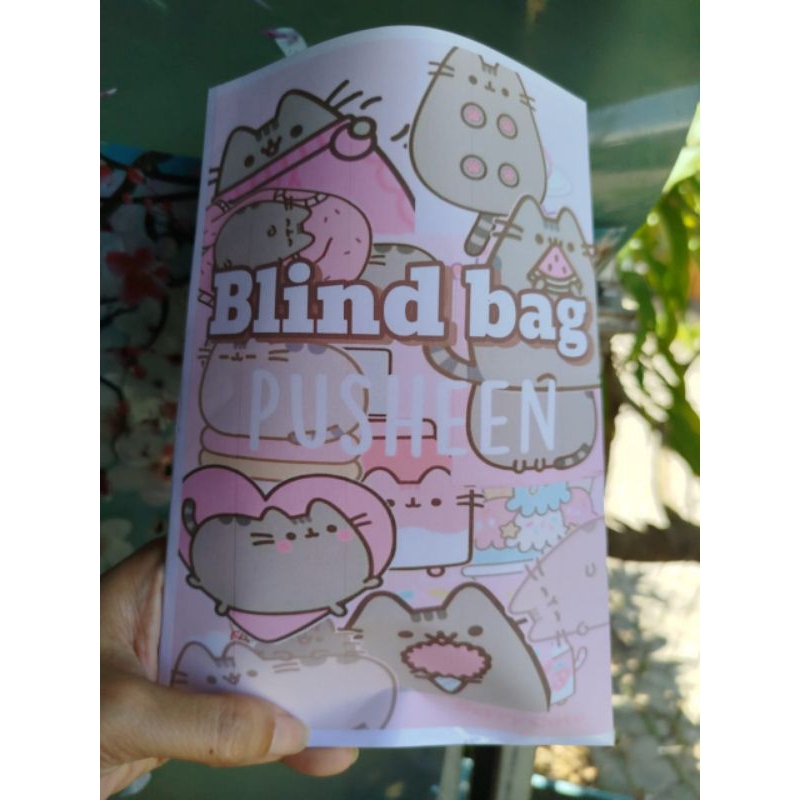 blind bag pusheen squishy paper  kertas