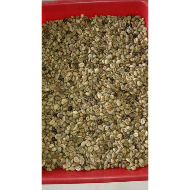 

Biji Kopi Robusta Komersil