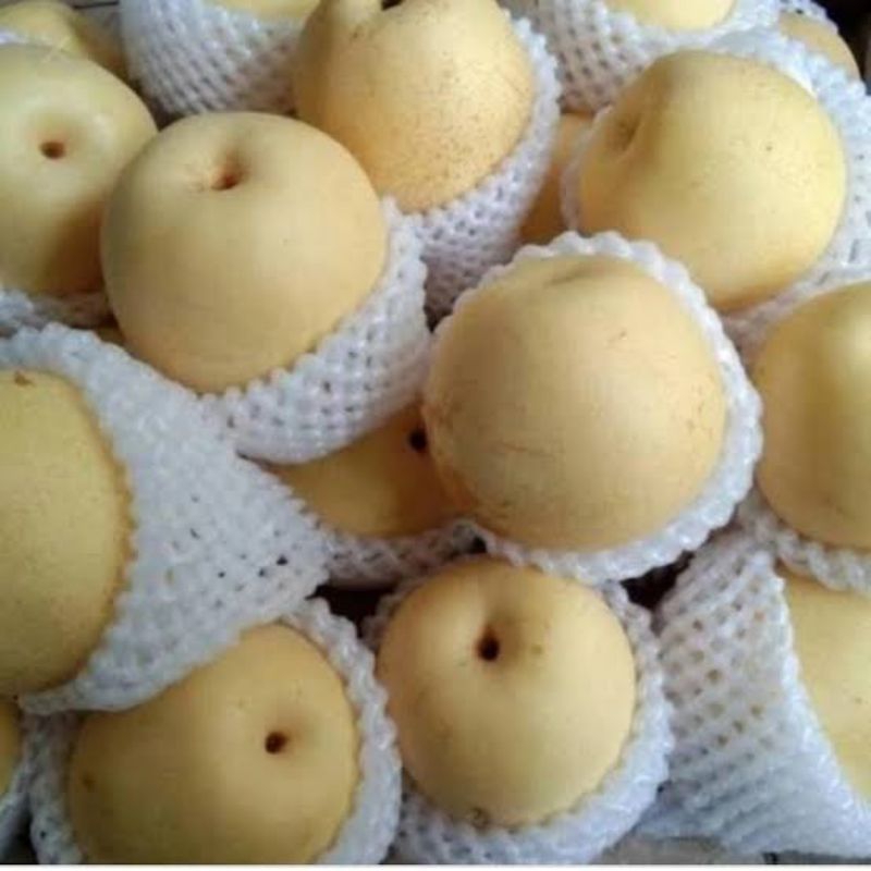 Pir buah pir 1kg/ buah pir 1kg