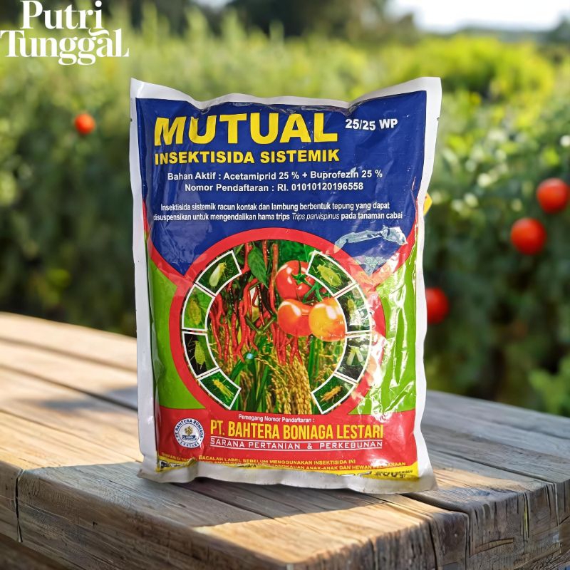 Mutual 25WP insektisida sistemik