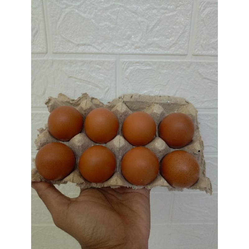 

Telur Ayam Negri Fresh 1/2 KG, Telur Ayam, Telur Ayam Negri