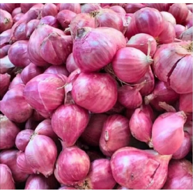 

Bawang Merah Super Fresh 1kg Termurah