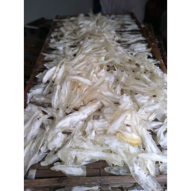 

SingkongGadung500gram