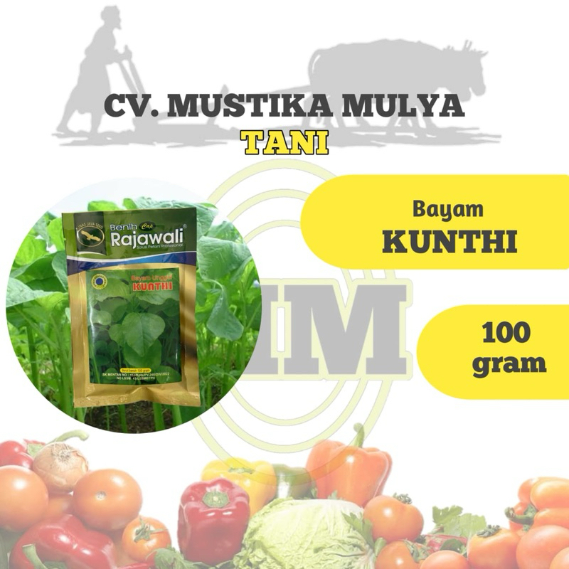 BENIH BAYAM ( KUNTHI ) RAJAWALI