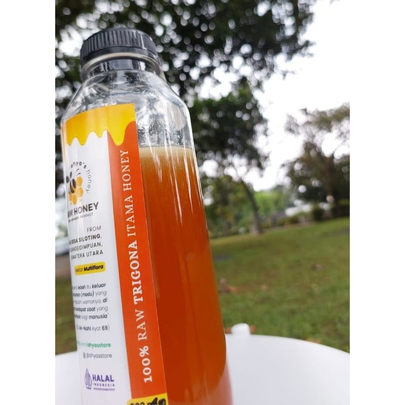 

Madu Klulut /Klutut Trigona Itama Raw Unprocessed 250gr