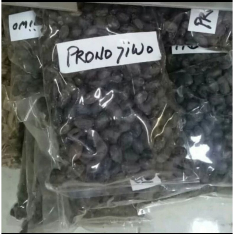 

Pronojiwo Biji Pranajiwa Kering Biji Pronojiwo Kering