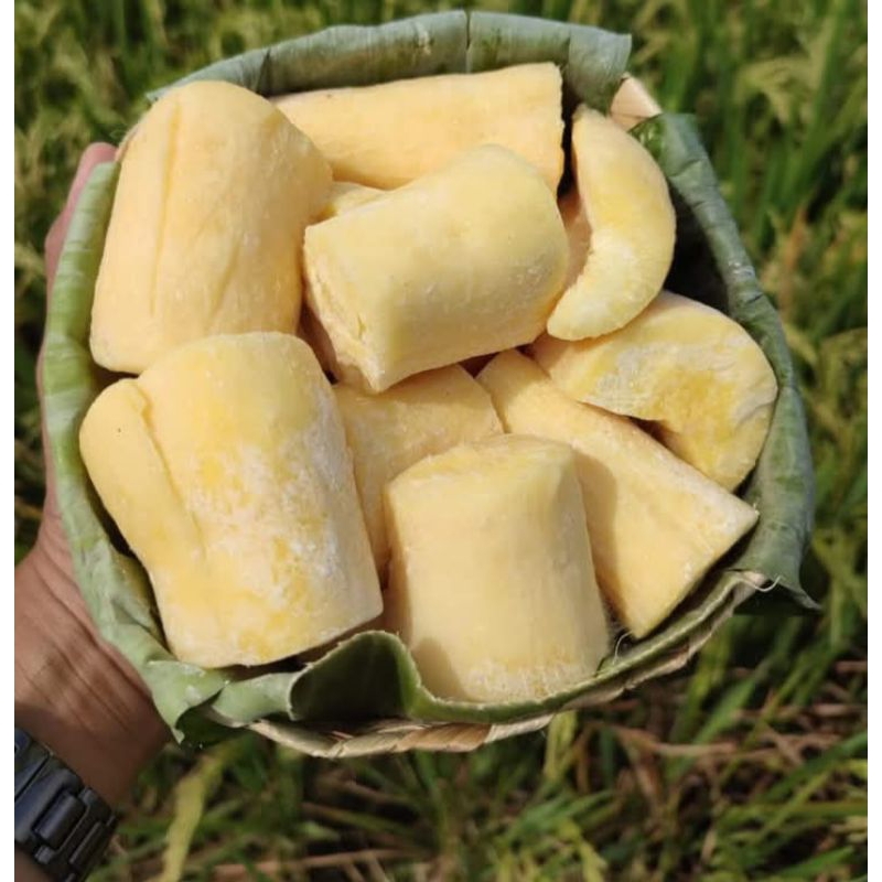 

tape singkong super berat 500- 800 gram