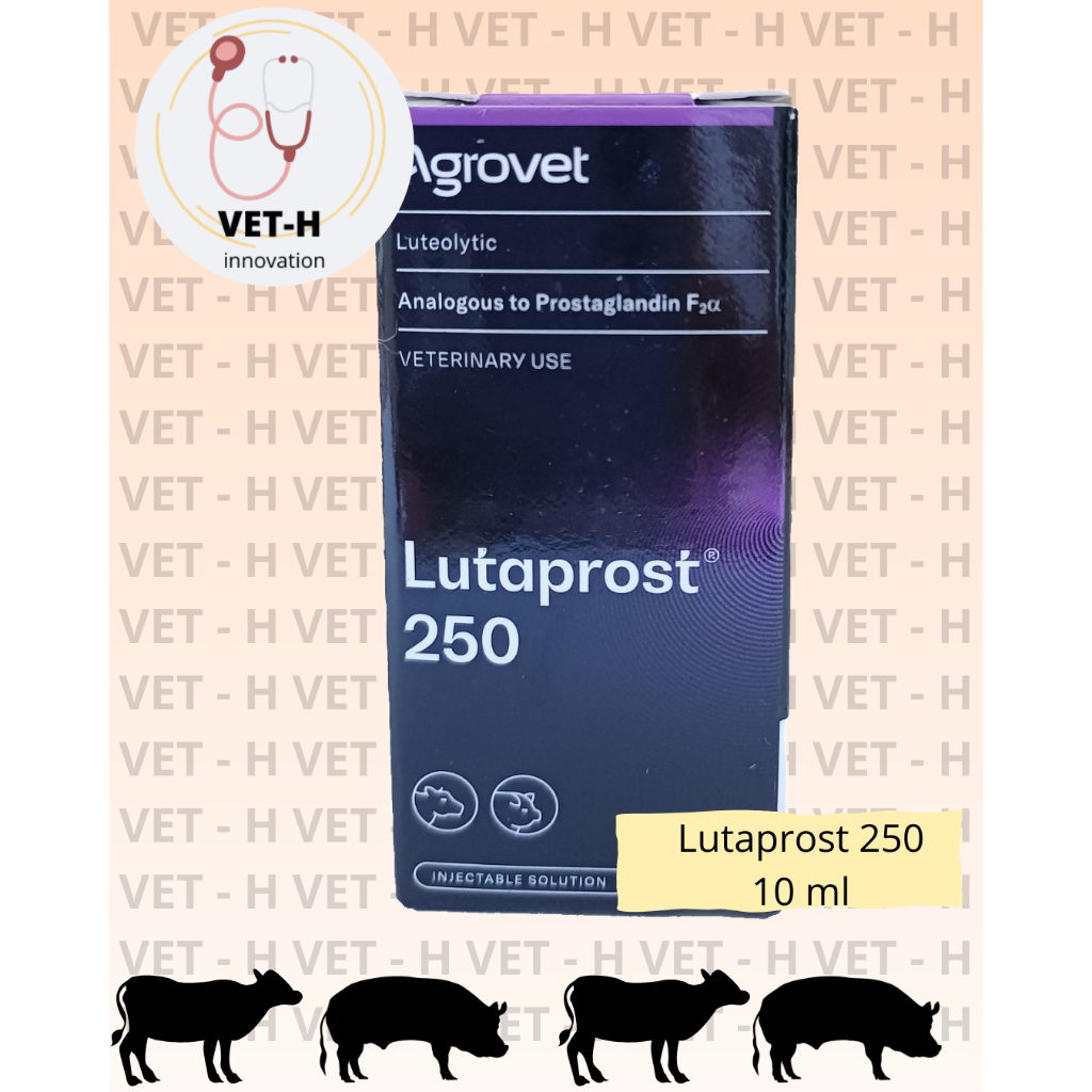 Lutaprost 250 Agrovet 10 ml - Hormon PGF2 Alfa - Obat hewan