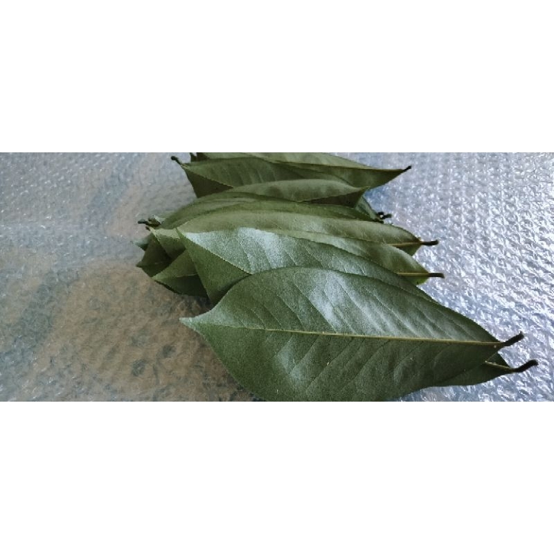 

DAUN SIRSAK SEGAR 100 LEMBAR