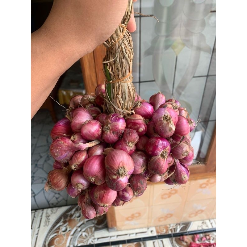 

bawang merah nganjuk 1kg