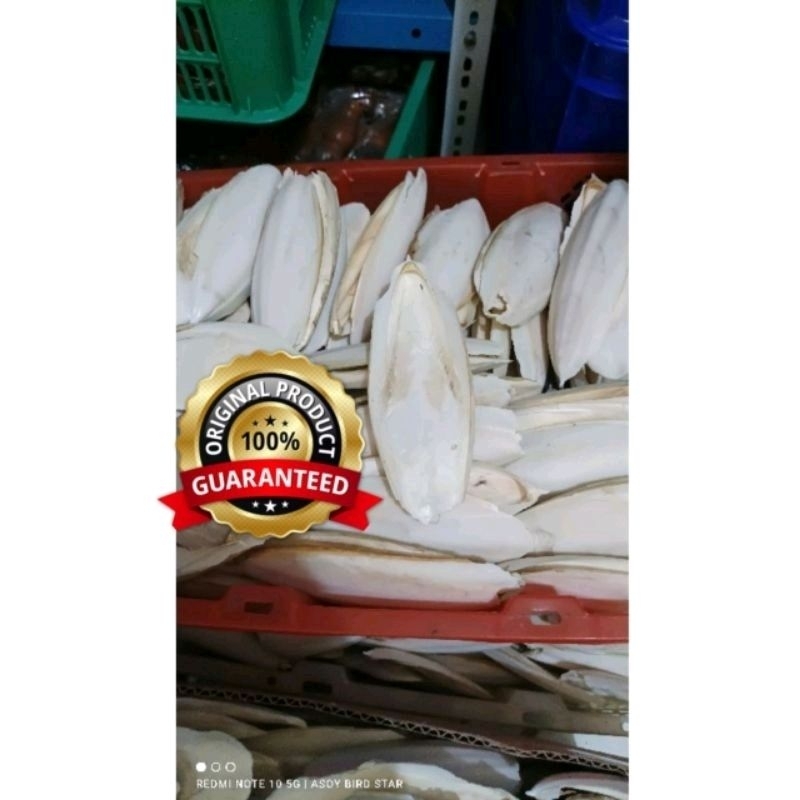 tulang sotong makanan burung asinan untuk burung Lovebird, kenari,parkit,perkutut,murai, paruh bengk