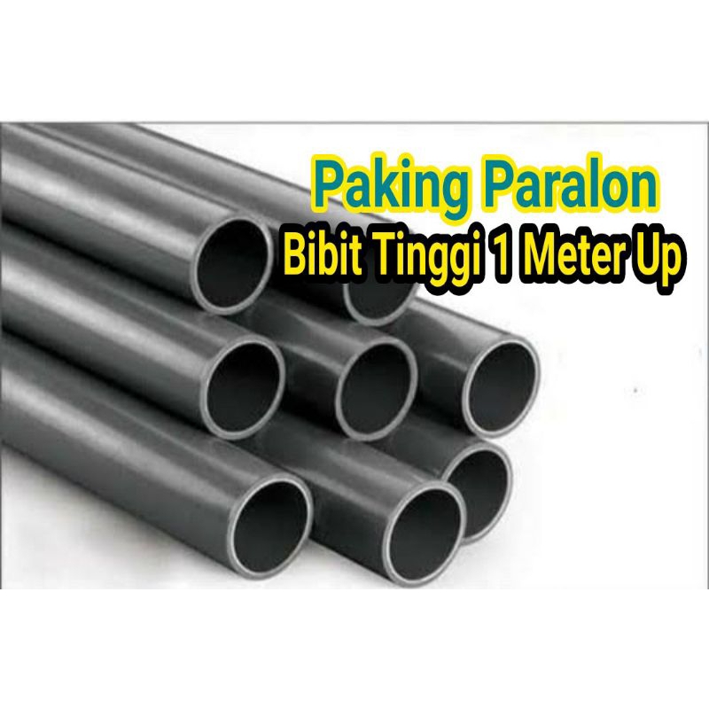 

Packing Paralon Khusus Untuk Bibit Tinggi 1 Meter Up