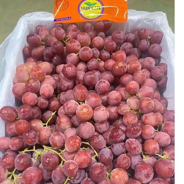 

Anggur red globe Per keranjang PROMOOO