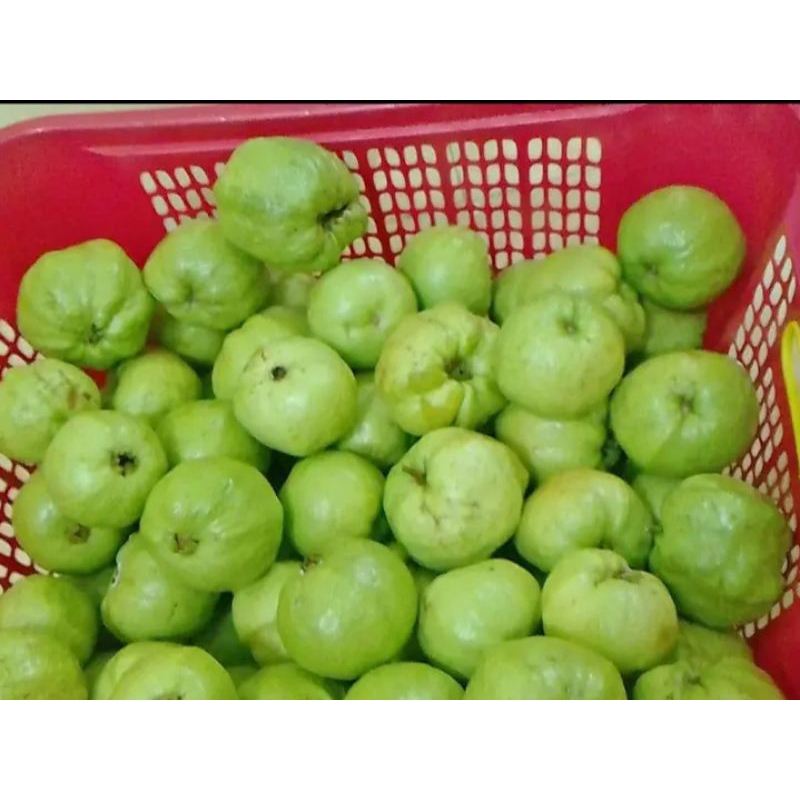 

jambu kristal 1kg isi 4/5