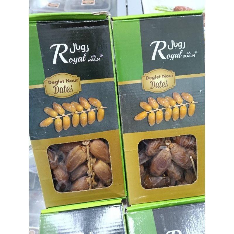 

Tunisia Royal Palm