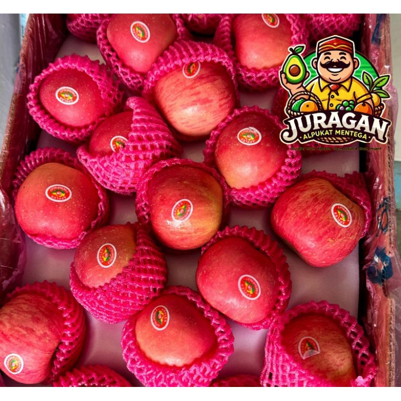Apel Fuji Fresh Premium / Buah Apel Fuji