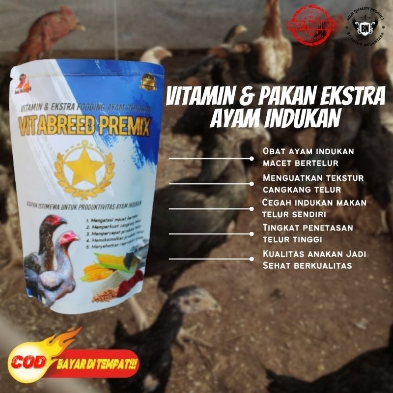 VITABREED PREMIX MENGATASI INDUKAN AYAM MACET BERTELUR Produksi Telur Banyak Dan Kualitas Telur Supe