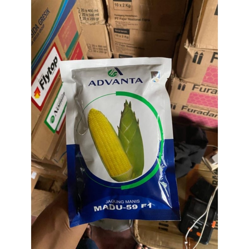 

advanta 59 -f1 250gram