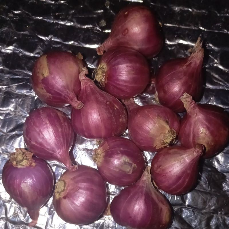 

BAWANG MERAH SUPER KERING ASLI PROBOLINGGO