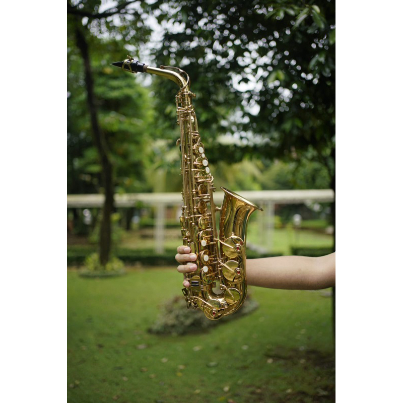 Split Bill - Ludwig Alto Saxophone seri LAS-275 Gold