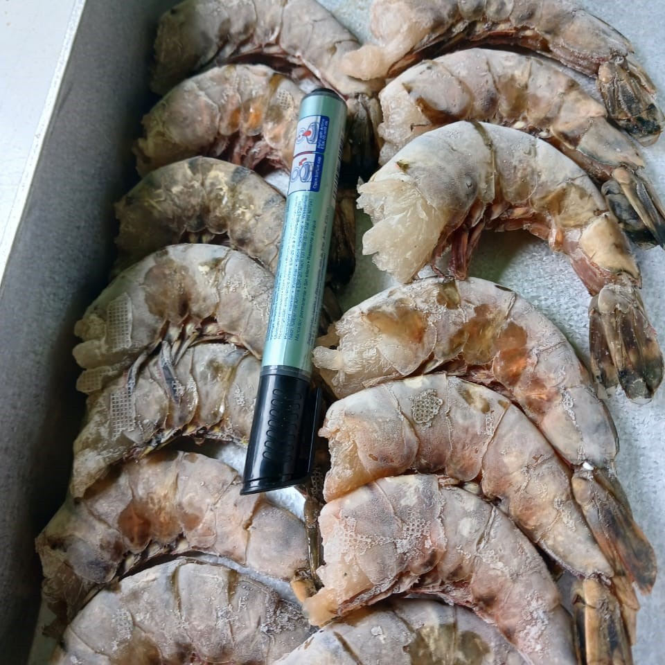 

Udang Windu Size Jumbo