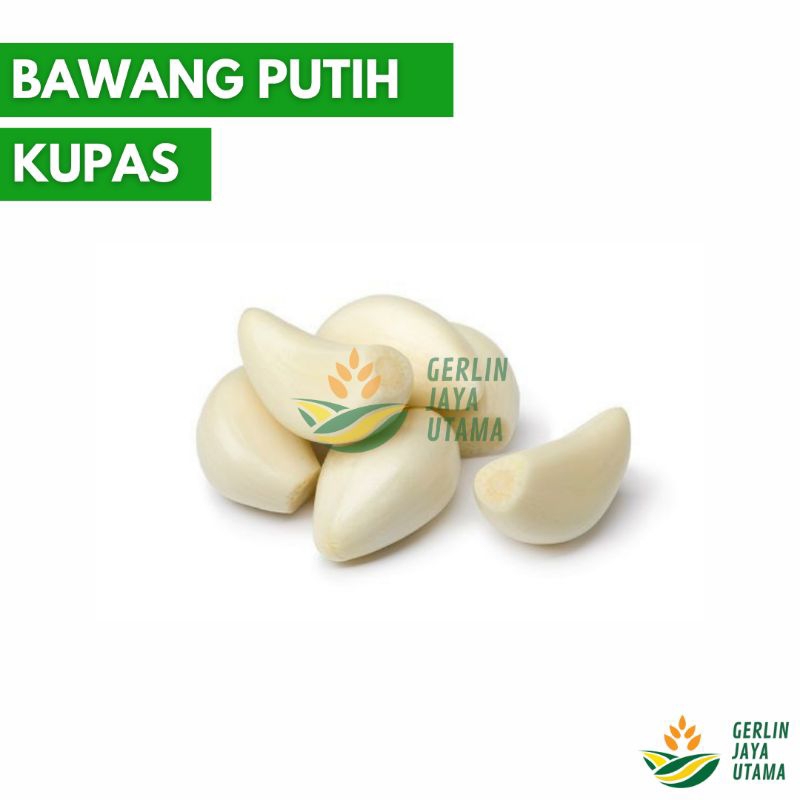 

(500gram) BAWANG PUTIH KUPAS // WHITE GARLIC // SAYURAN SEGAR // FRESH VEGETABLES // KEBUTUHAN DAPUR KITCHEN MEMASAK // BUMBU PENYEDAP PELENGKAP RASA // SETENGAH KILOGRAM // SINCO PEELED