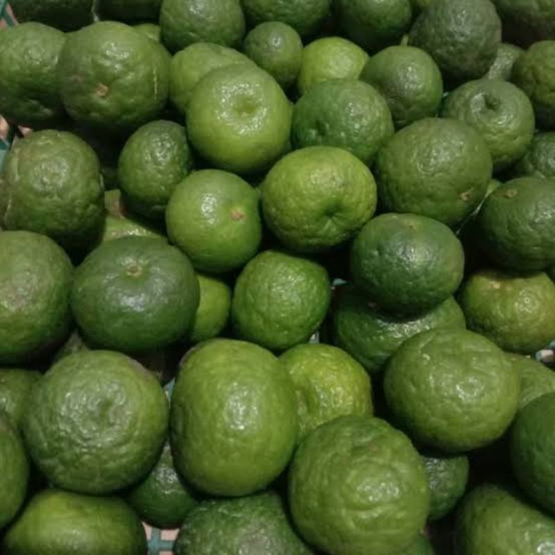 

jeruk limau 1 kilo ukuran besar