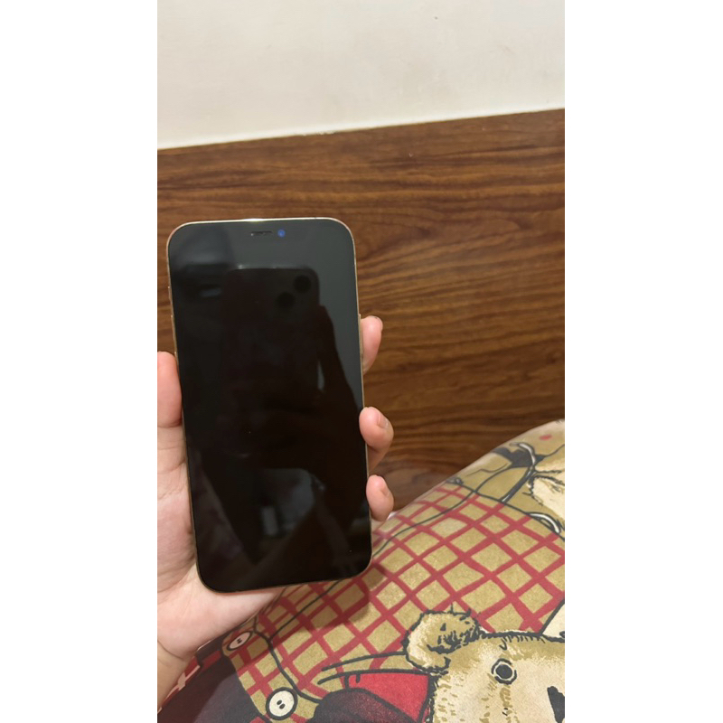 Iphone 12 Pro 128 gb Second Inter Minus Bisa Nego