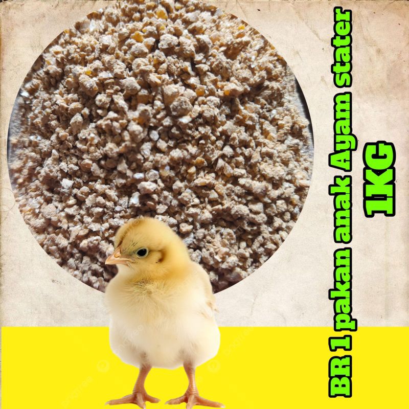 BR 1 PAKAN ANAK AYAM STARTER