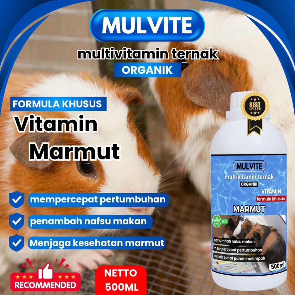 MULVITE Vitamin Probiotik Vitamin Suplemen Marmut Hias Anggora Fuzzy Lop Holland Netherland Dwarf Ma