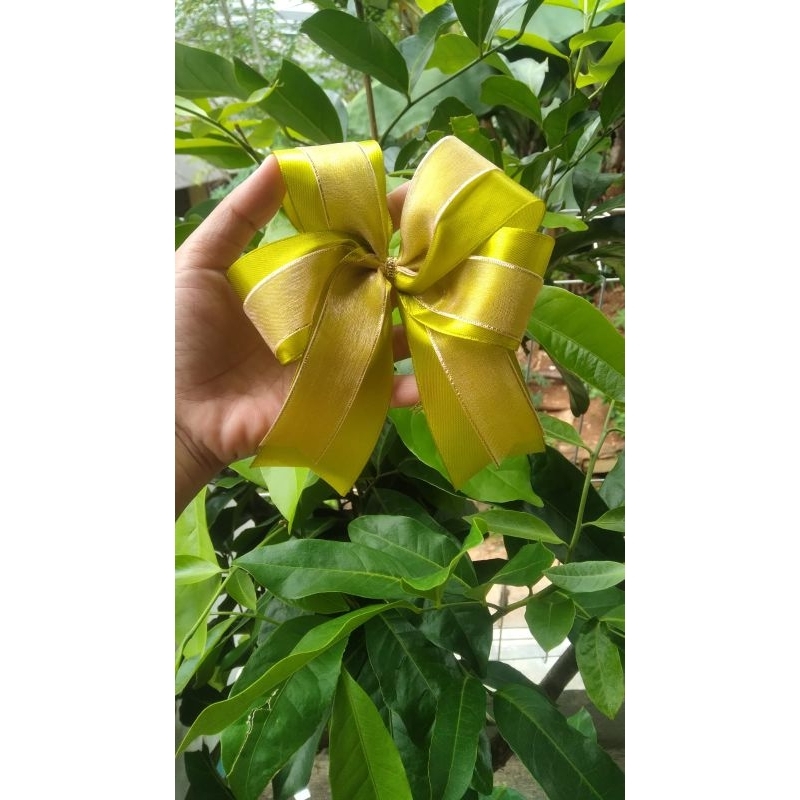 

pita kado mix satin organdi/pita jadi organza list emas/pita hampers/pita besek lebaran/pita souvenir/pita gift