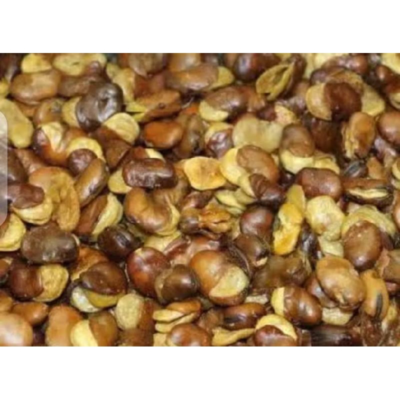 

kacang koro kulit