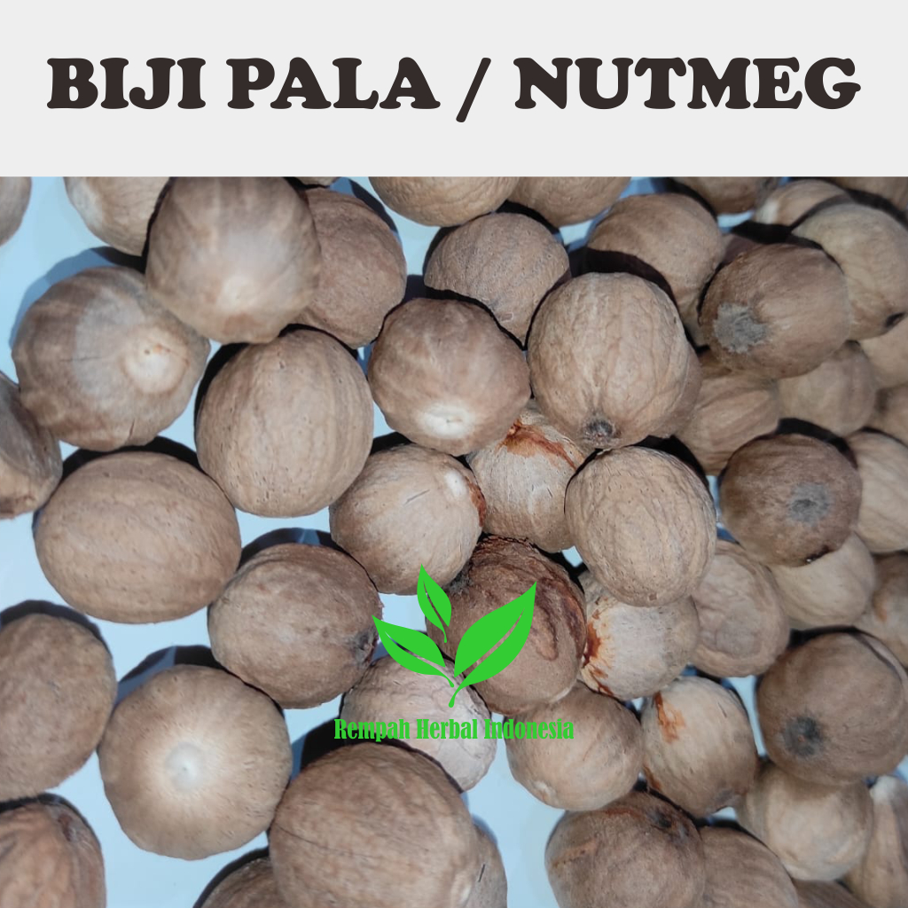 

Biji Pala Kupas Nutmeg 100 Gr Organik Premium Original