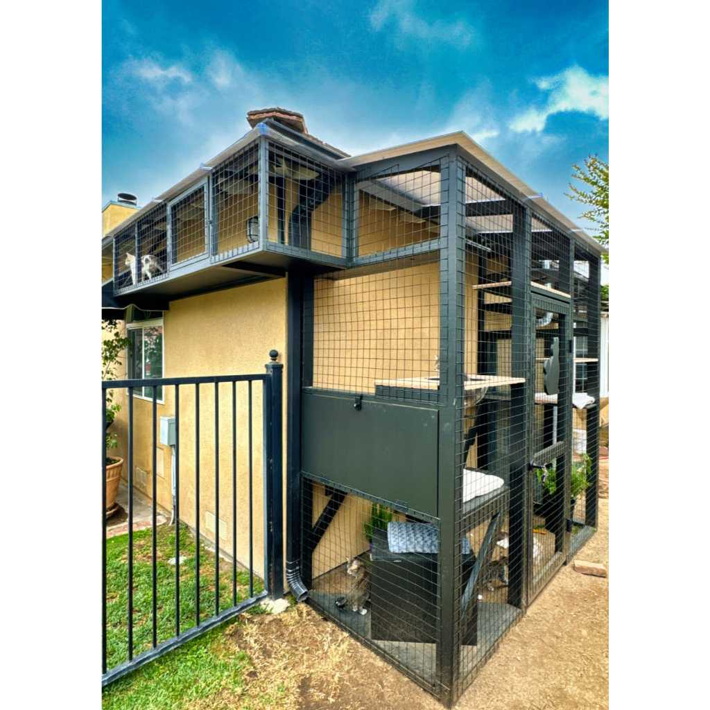 Customize kandang kucing anjing outdoor | pembuatan kandang kucing rumah