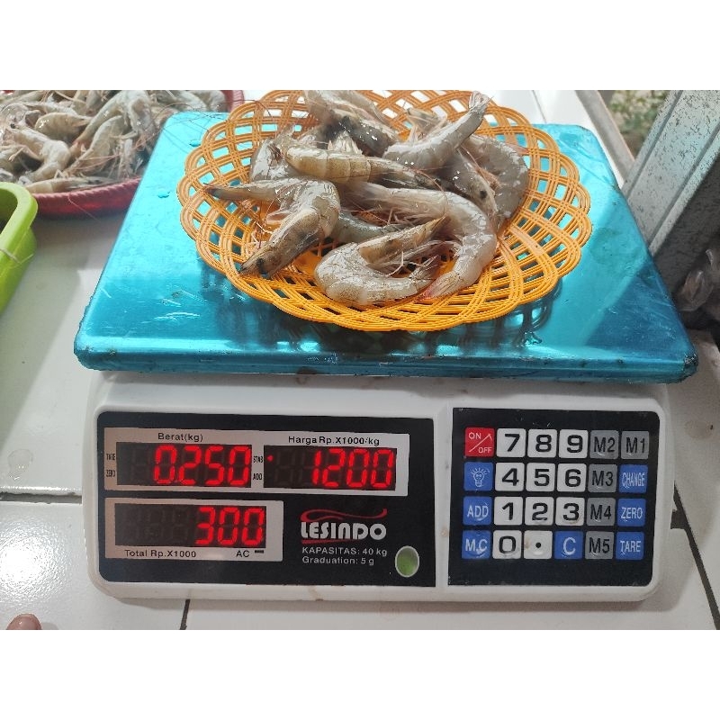 

Udang vaname frozen/Tambak 100% fresh Halal