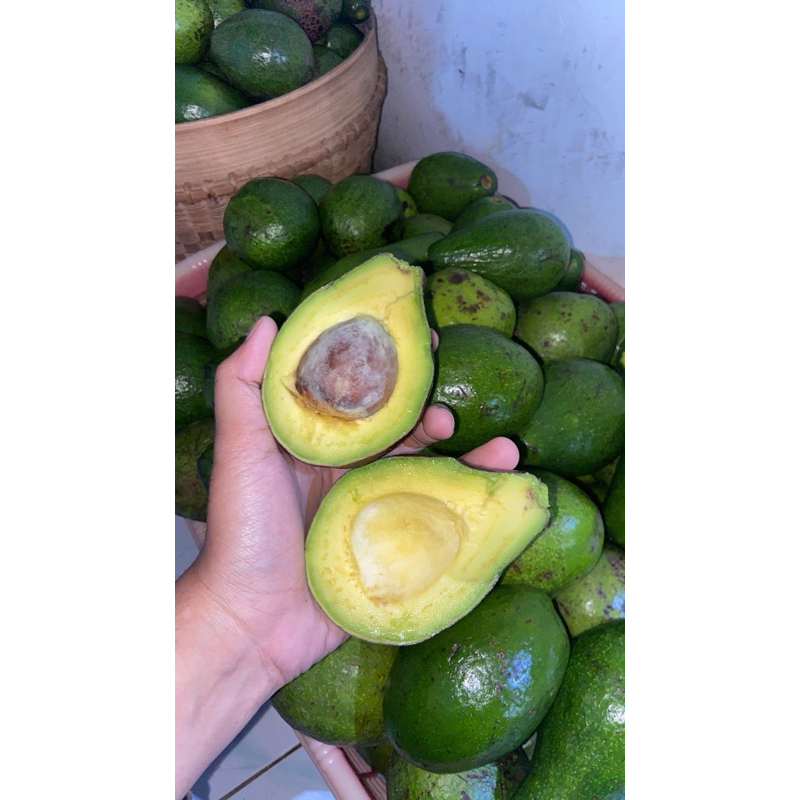 

ALPUKAT MENTEGA