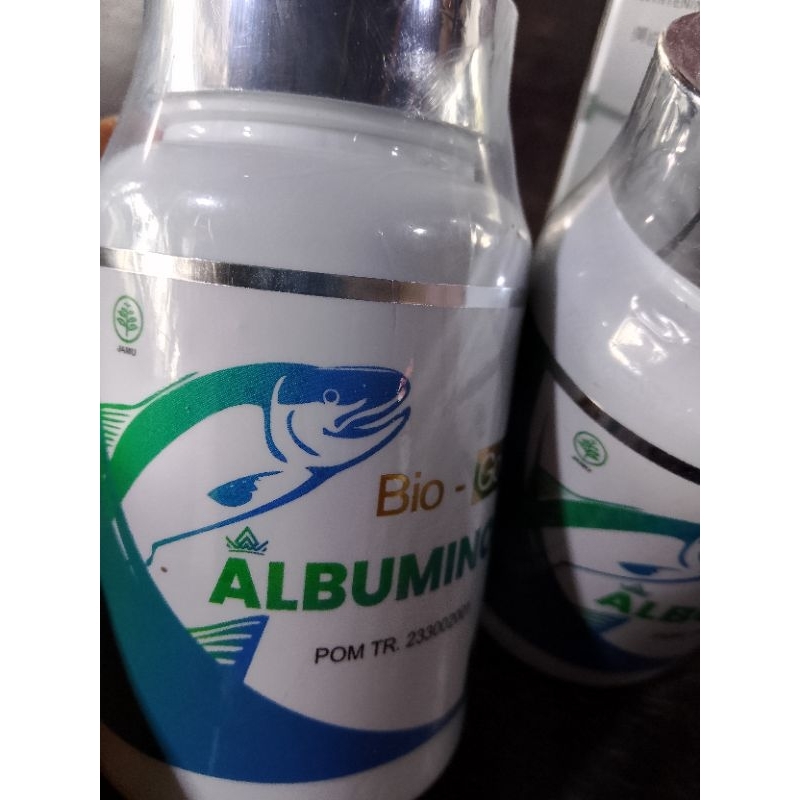 

kpsul ikan gabus