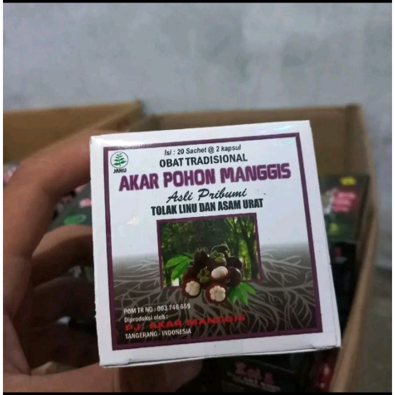 

Akar Pohon Manggis original tolak linu dan asam urat