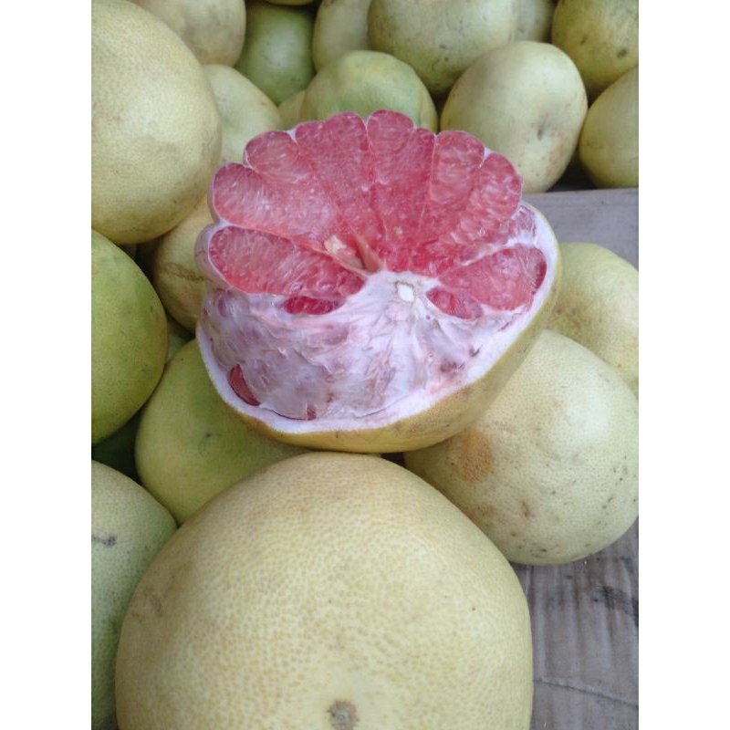 

JERUK BESAR BALI MADU / POMELO SEGAR