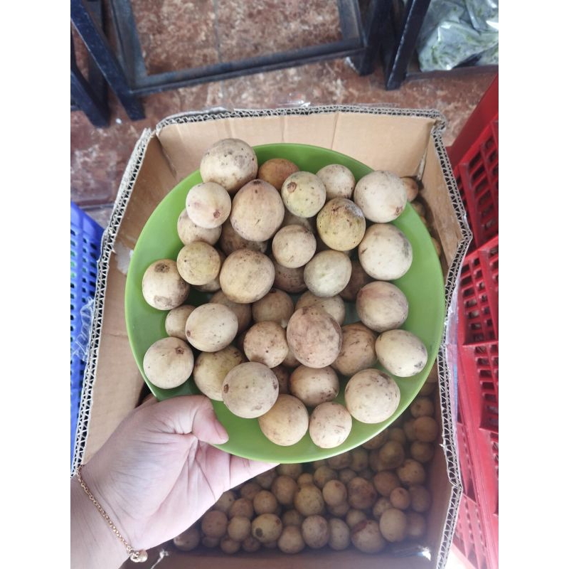 

Duku Purbalingga